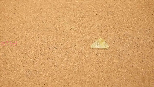 6种快速清除双面胶的方法 教你怎么去除双面胶