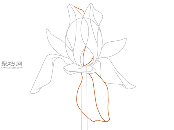 卡通花的画法 35