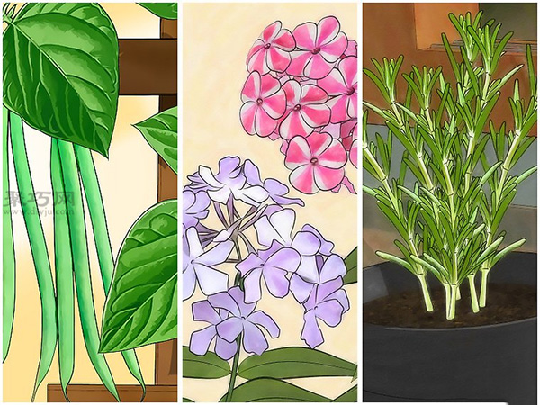 建一个花园教程 1