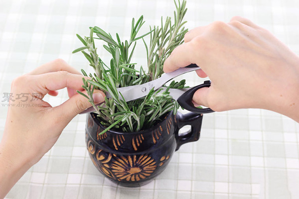 悬挂法diy迷迭香干花图片教程 1