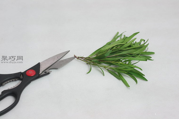 室外干燥法干燥草本植物图解教程 10