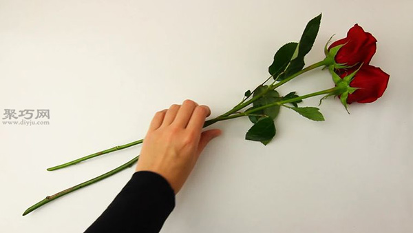手工制作悬挂晾干玫瑰花干图片教程