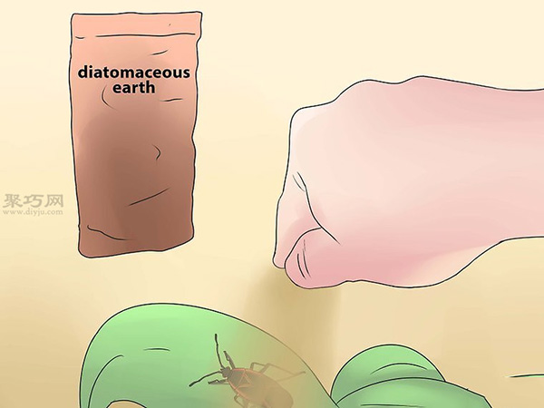 怎么样用有机杀虫剂杀臭虫 4
