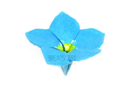 折纸勿忘我花教程图解