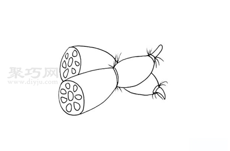 莲藕简笔画如何画 莲藕简笔画教程