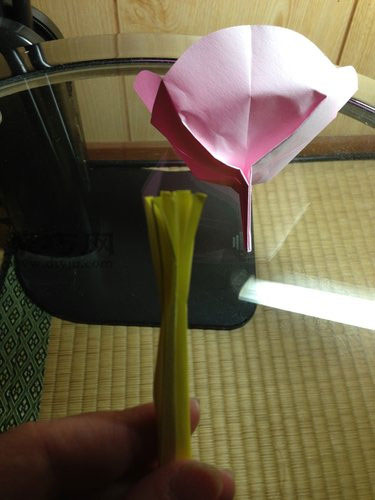如何折纸扶桑花